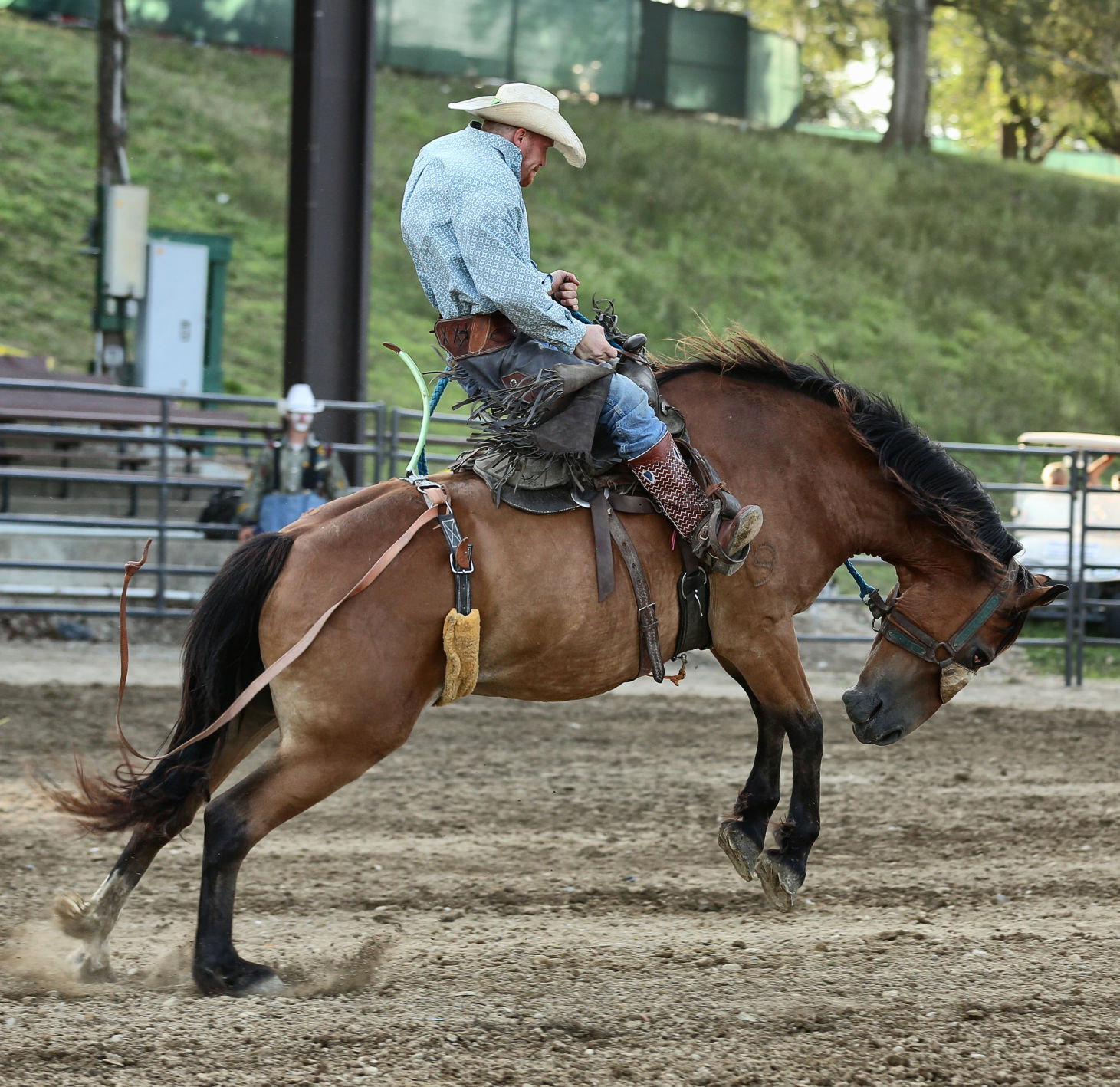 Photos from the Fayette County Free Fair